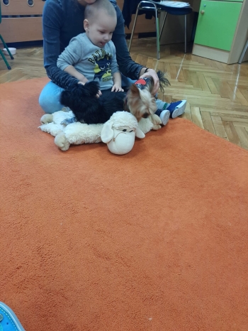 IMG-20241024-WA0133