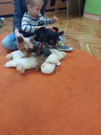 IMG-20241024-WA0134