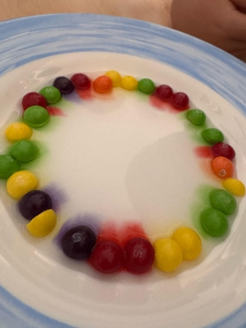 IMG-20250320-WA0092