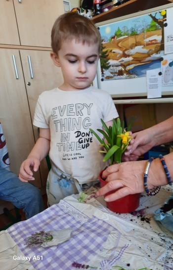 IMG-20250327-WA0048