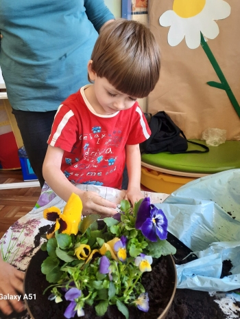IMG-20250327-WA0056