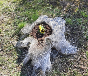 IMG-20250327-WA0066