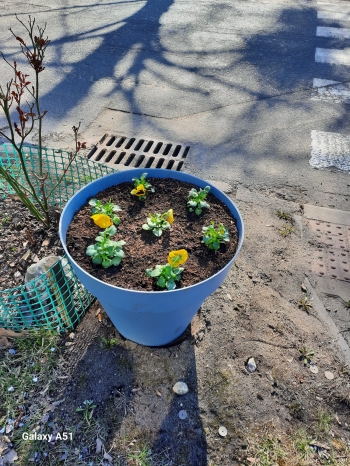 IMG-20250327-WA0071