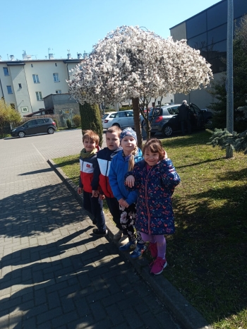 IMG-20250408-WA0029