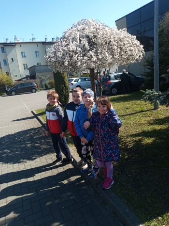 IMG-20250408-WA0030