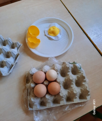 IMG-20250418-WA0023