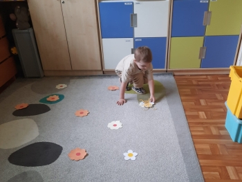IMG-20250525-WA0025