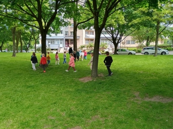 IMG_20250522_113201206_HDR (Copy)