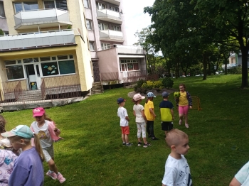 IMG-20250602-WA0135