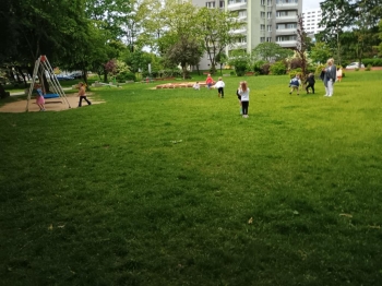 IMG_20250530_111246132_HDR (Copy)