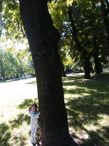 IMG-20250918-WA0007