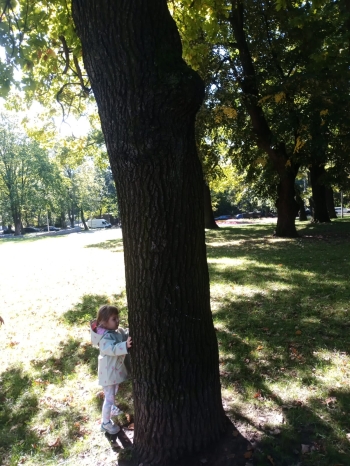 IMG-20250918-WA0008