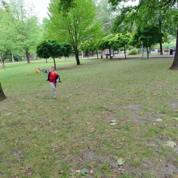 IMG-20250920-WA0385