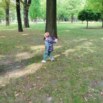 IMG-20250920-WA0393