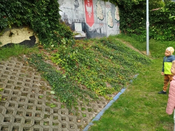 IMG_20250925_105346444_HDR (Copy)