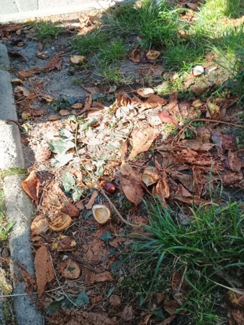 IMG_20250922_102748035_HDR (Copy)