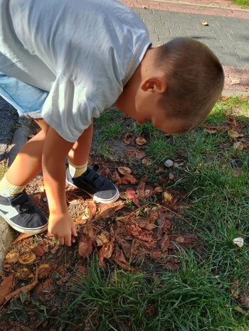 IMG_20250922_102758549_HDR (Copy)