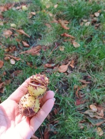 IMG_20250922_102917364 (Copy)