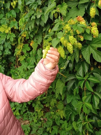 IMG_20250925_105751573 (Copy)