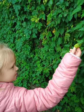 IMG_20250925_105803503 (Copy)