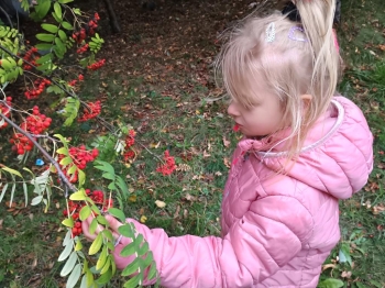 IMG_20250925_114750745_HDR (Copy)