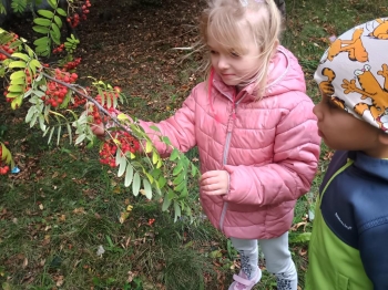 IMG_20250925_114759533_HDR (Copy)