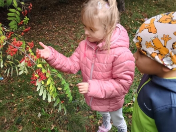 IMG_20250925_114801214_HDR (Copy)