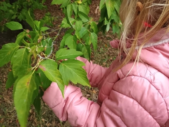 IMG_20250925_114843689 (Copy)