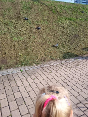 IMG_20250926_092232216 (Copy)