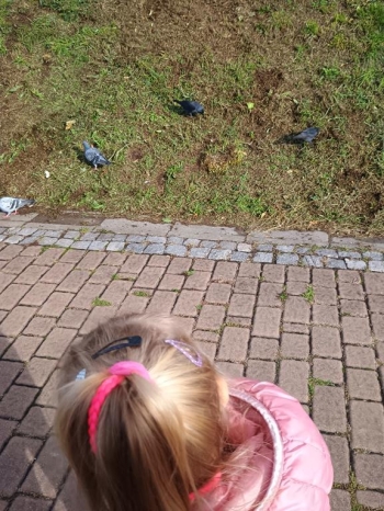 IMG_20250926_092249894 (Copy)