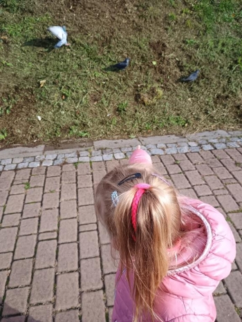 IMG_20250926_092251498_HDR (Copy)