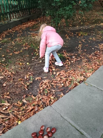 IMG_20250926_093409706_HDR (Copy)