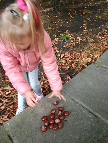 IMG_20250926_093415759 (Copy)