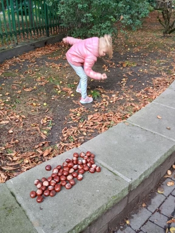 IMG_20250926_093624262_HDR (Copy)