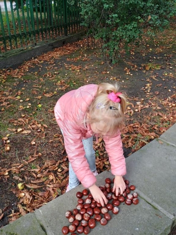 IMG_20250926_093640929_HDR (Copy)