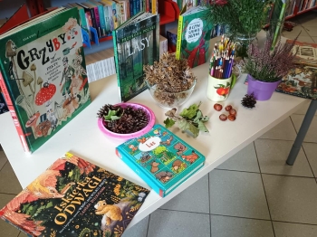 IMG_20250925_110416762 (Copy)