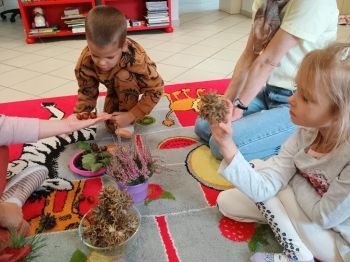 IMG_20250925_112748058 (Copy)