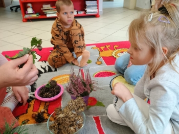 IMG_20250925_112829102 (Copy)