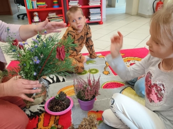 IMG_20250925_113011270 (Copy)