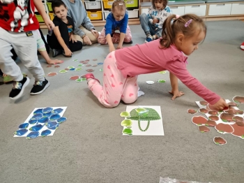 IMG_20250925_094218945_HDR (Copy)