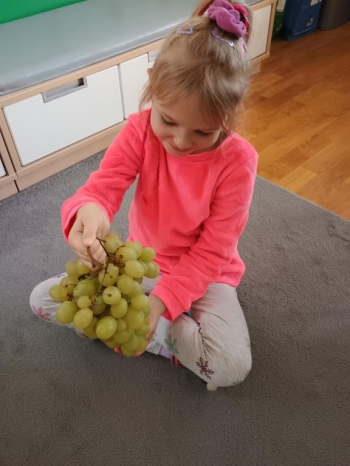 IMG_20251002_101043483 (Copy)