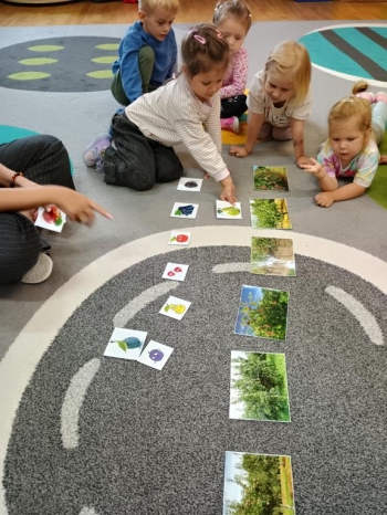 IMG_20250930_095254840_HDR (Copy)