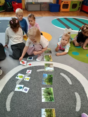 IMG_20250930_095311052_HDR (Copy)