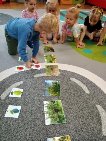 IMG_20250930_095512020_HDR (Copy)