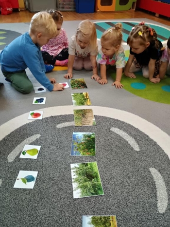 IMG_20250930_095524806_HDR (Copy)