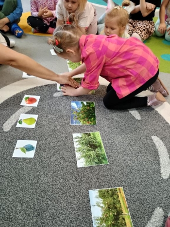 IMG_20250930_095604347_HDR (Copy)