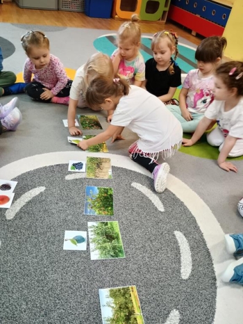 IMG_20250930_095709822_HDR (Copy)