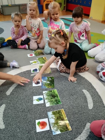 IMG_20250930_095819820_HDR (Copy)