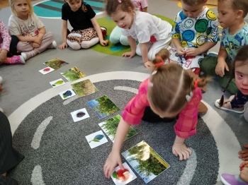 IMG_20250930_100012350_HDR (Copy)