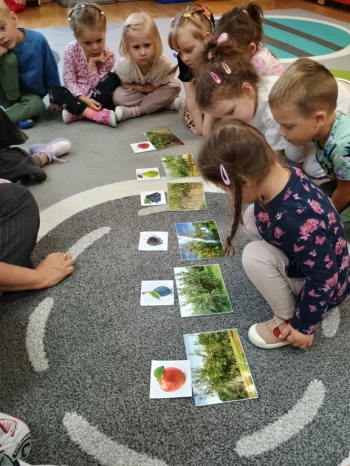 IMG_20250930_100115450_HDR (Copy)